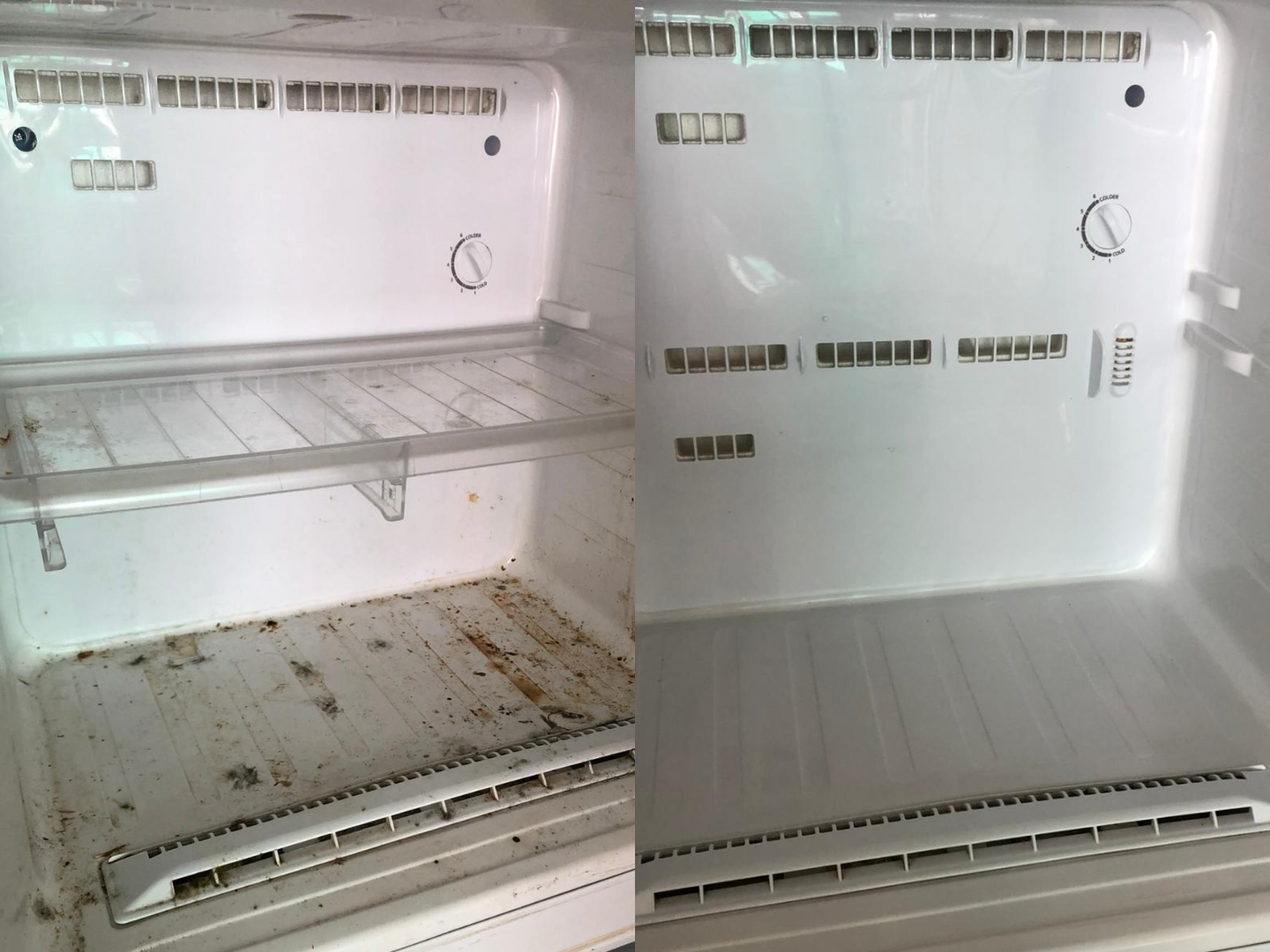 Fridge Cleaning