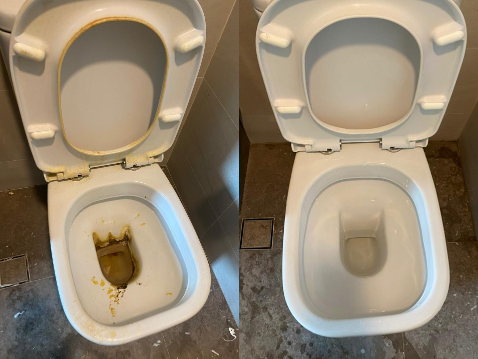 Toilet Cleaning